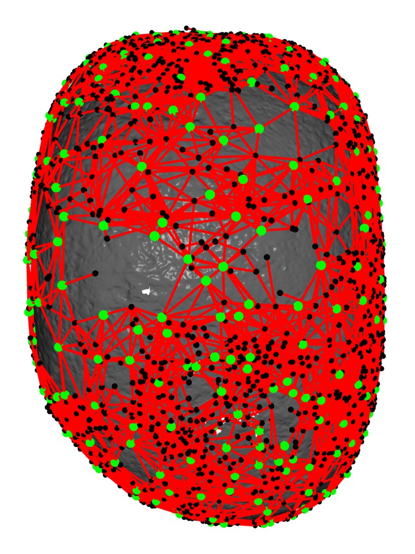 Large Rock pose graph