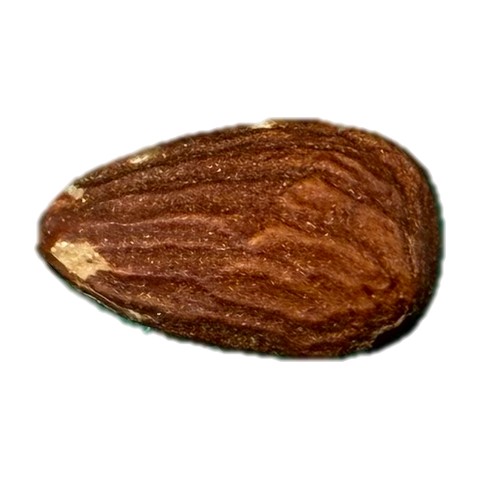 Almond photo