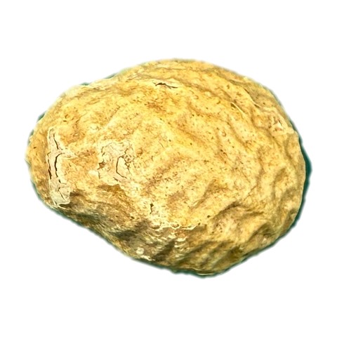 Peanut photo