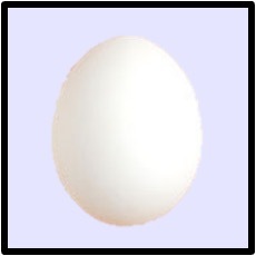 Egg