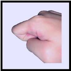 Finger